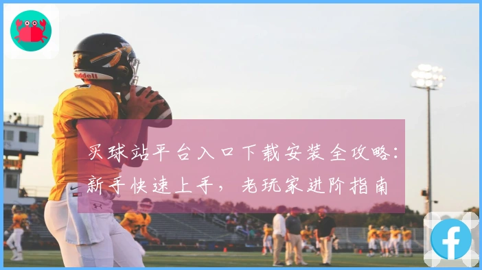 买球站平台入口下载安装全攻略：新手快速上手，老玩家进阶指南